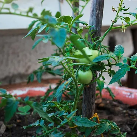 別荘 Feel At Keramídhion