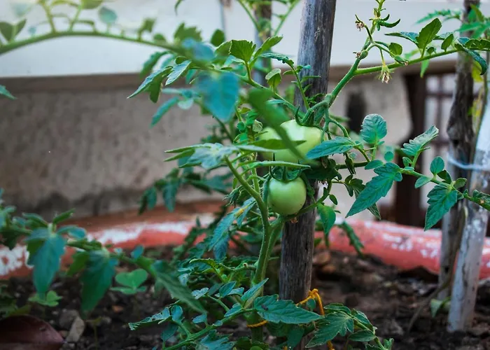 Σπίτι διακοπών Feel At Κεραμίδι